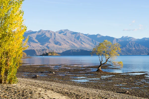 Nouvelle-Zélande Alpes et lac — Photo