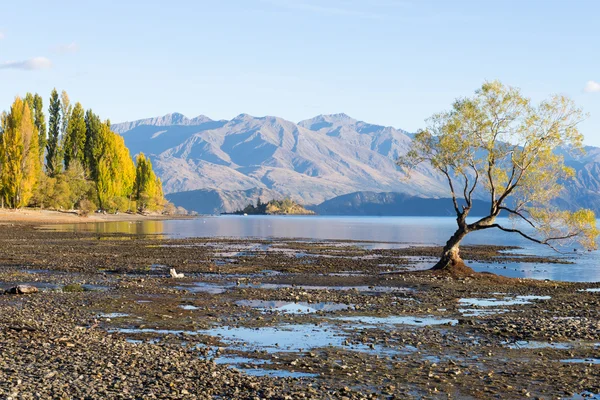 New Zealand alps and lake — Stock Photo, Image