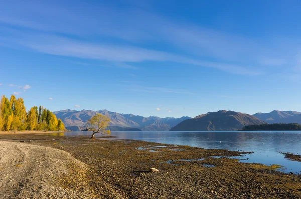 Nový Zéland Alpy a jezero — Stock fotografie