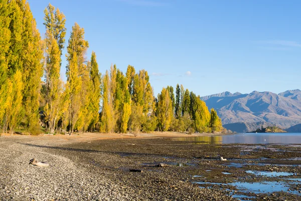 New Zealand alps and lake — Stock Photo, Image