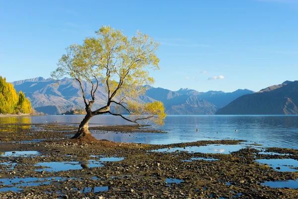 Nový Zéland Alpy a jezero — Stock fotografie