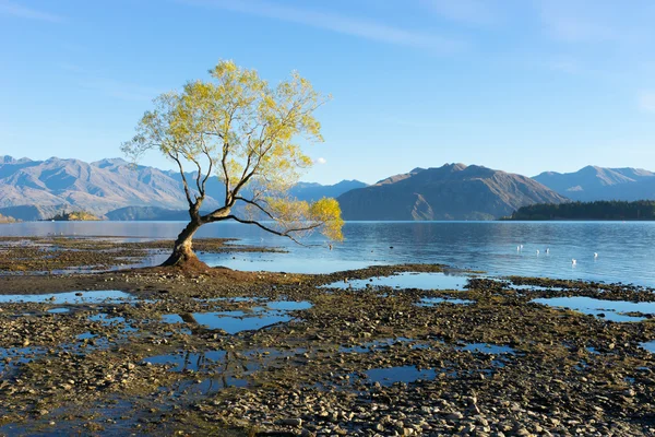 Альпы и озеро Новой Зеландии — стоковое фото