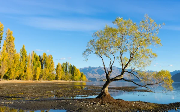 Nieuw-Zeelandse Alpen en meer — Stockfoto