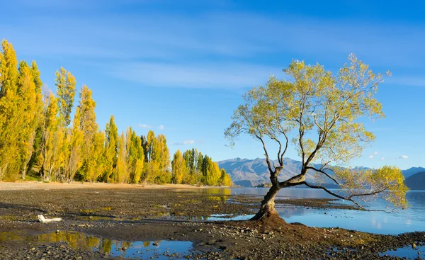 New Zealand alps and lake — Stock Photo, Image