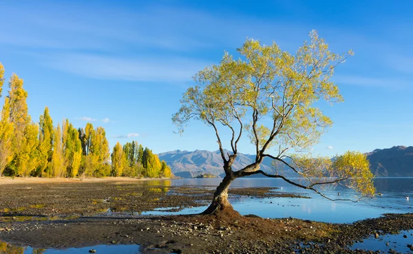 Nový Zéland Alpy a jezero — Stock fotografie