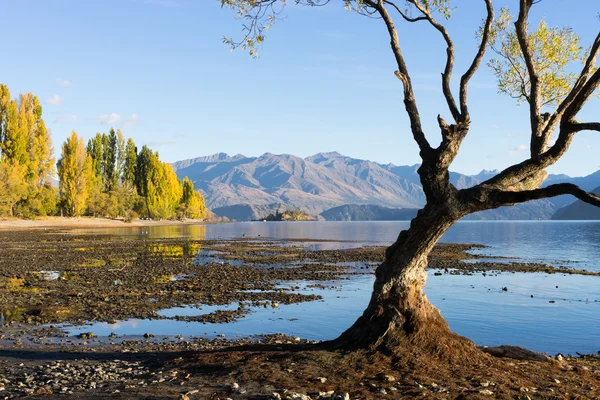 Nový Zéland Alpy a jezero — Stock fotografie