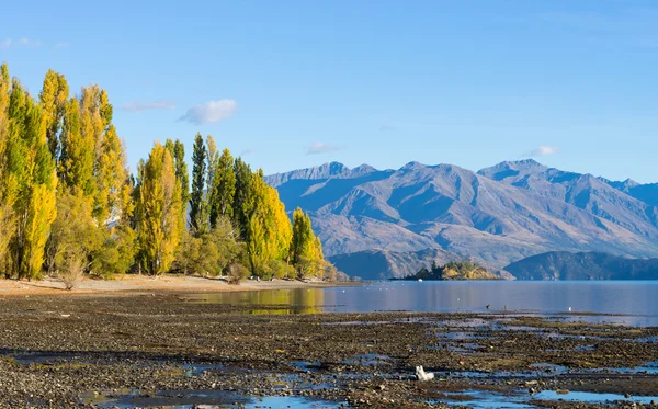 Nueva Zelanda alpes y lago —  Fotos de Stock