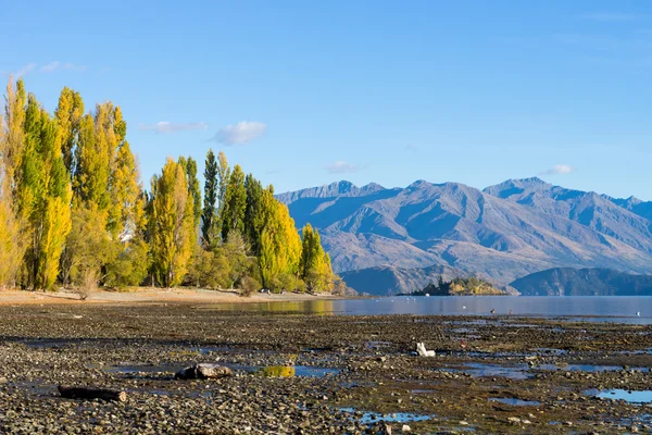 Nouvelle-Zélande Alpes et lac — Photo