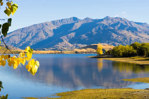 Nouvelle-Zélande Alpes et lac — Photo