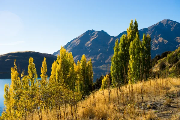 Picturesque landscape — Stock Photo, Image