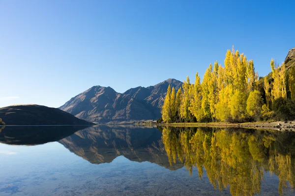 Picturesque landscape