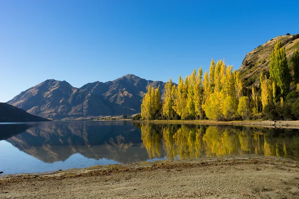 Picturesque landscape