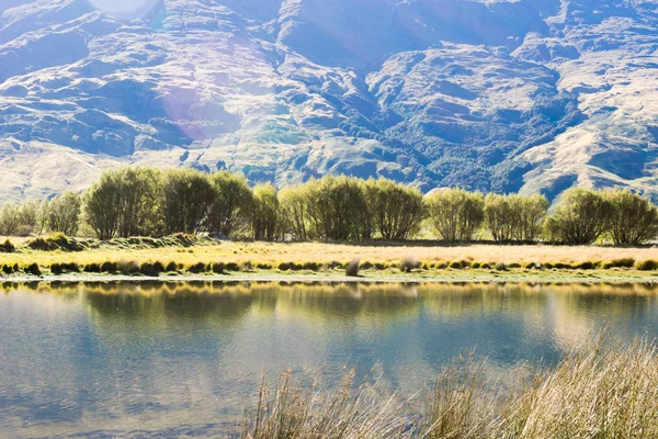 Nowa Zelandia Alpy i jezioro — Zdjęcie stockowe