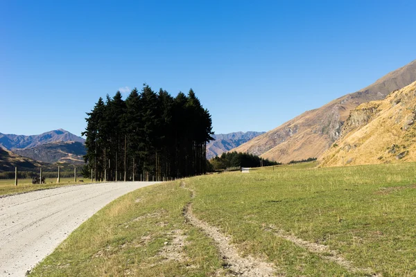 新西兰的阿尔卑斯山和路 — 图库照片