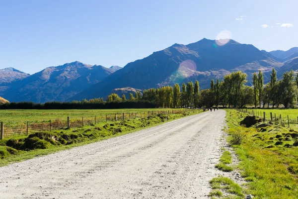 Nieuw-Zeelandse Alpen en over de weg — Stockfoto