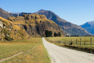 Yeni Zelanda Alpler ve yol