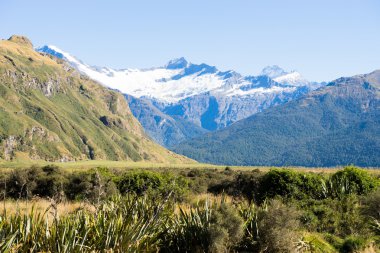 Yeni Zelanda Alpler ve çayırlar
