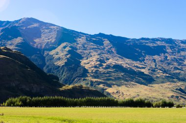 Yeni Zelanda Alpler ve çayırlar