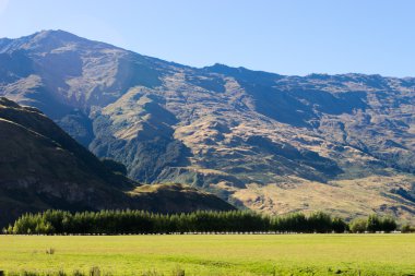 Yeni Zelanda Alpler ve çayırlar