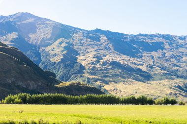 Yeni Zelanda Alpler ve çayırlar