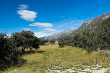 Yeni Zelanda Alpler ve çayırlar