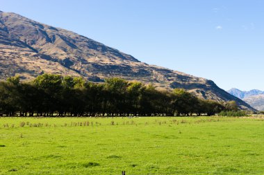 Yeni Zelanda Alpler ve çayırlar
