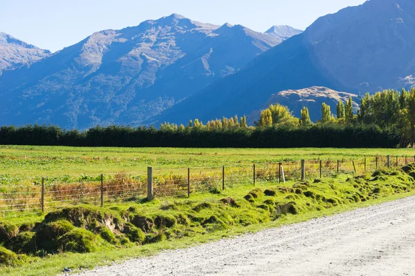Nuova Zelanda Alpi e strada — Foto Stock
