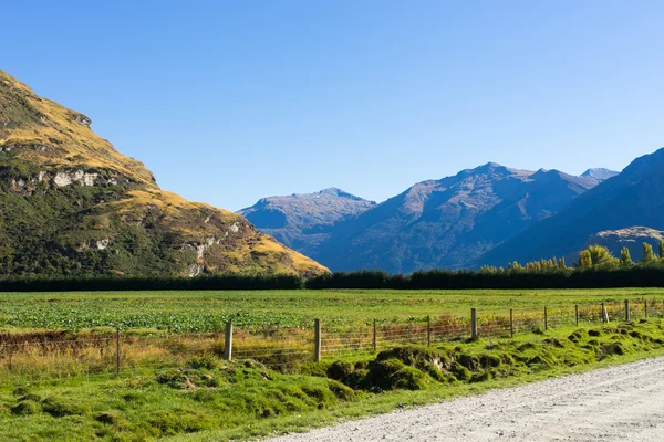 Nueva Zelanda alpes y carretera —  Fotos de Stock