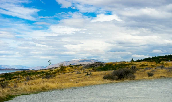 Nueva Zelanda alpes y carretera — Foto de Stock