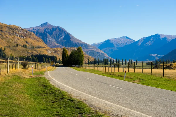 Nya Zeeland Alperna och väg — Stockfoto