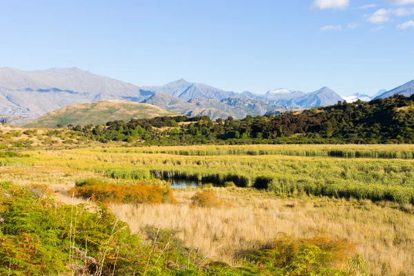 New Zealand alper og felt – stockfoto