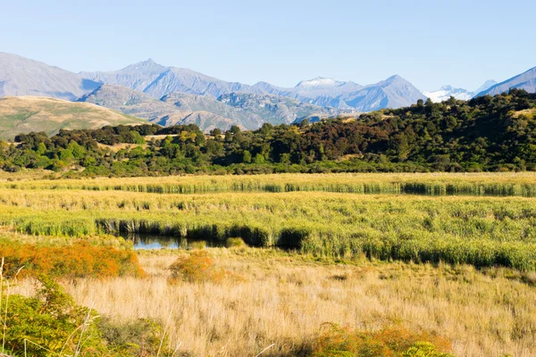 Alpes e campos da Nova Zelândia — Fotografia de Stock