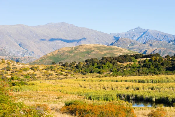 Alpes e campos da Nova Zelândia — Fotografia de Stock