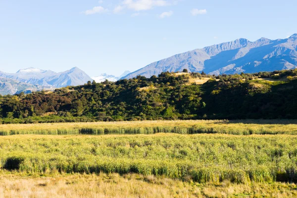 New Zealand alps and field — Stock Photo, Image