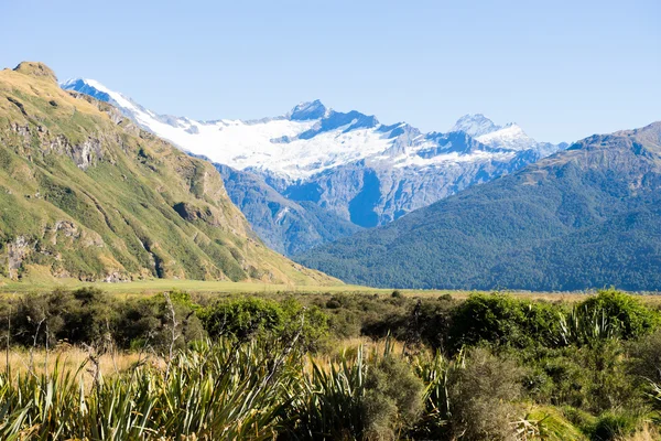 Alpes e prados da Nova Zelândia — Fotografia de Stock