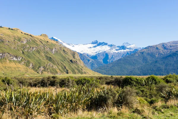 Alpes y prados de Nueva Zelanda —  Fotos de Stock