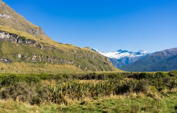 New Zealand alper og enger – stockfoto
