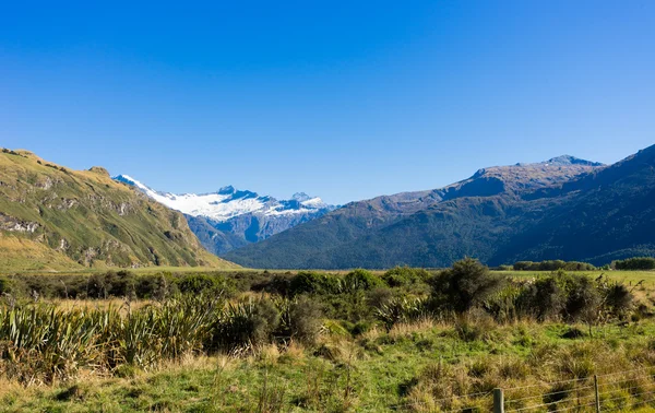 Alpes y prados de Nueva Zelanda — Foto de Stock