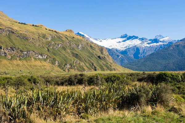 Alpes e prados da Nova Zelândia — Fotografia de Stock