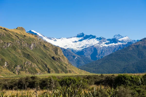 ニュージーランドのアルプスや牧草地 — ストック写真