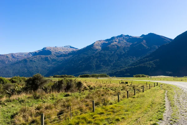 Neuseeland Alpen und Straße — Stockfoto