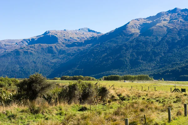 Yeni Zelanda Alpler ve çayırlar — Stok fotoğraf