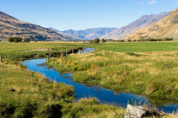 Nouvelle-Zélande Alpes et ruisseau — Photo