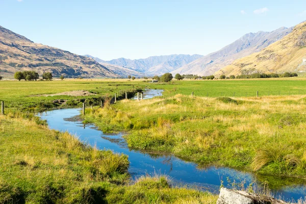 Nouvelle-Zélande Alpes et ruisseau — Photo