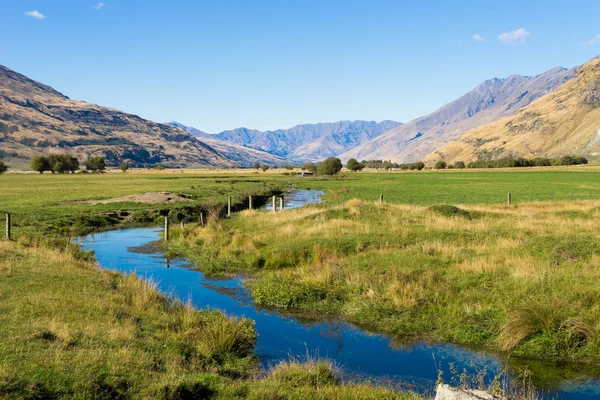 Nuova Zelanda Alpi e torrente — Foto Stock