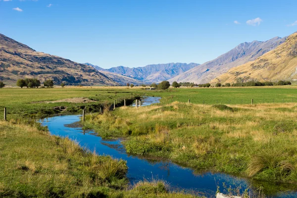 Nowa Zelandia Alp i strumień — Zdjęcie stockowe