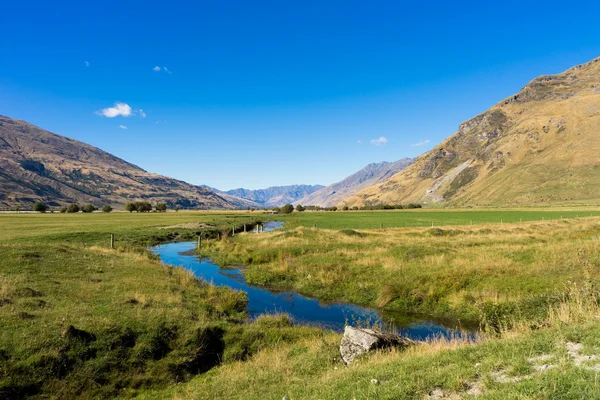 Nieuw-Zeelandse Alpen en stream — Stockfoto