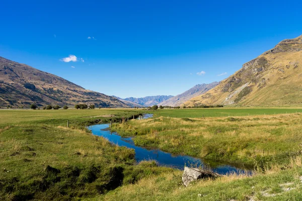 Nueva Zelanda alpes y arroyo — Foto de Stock