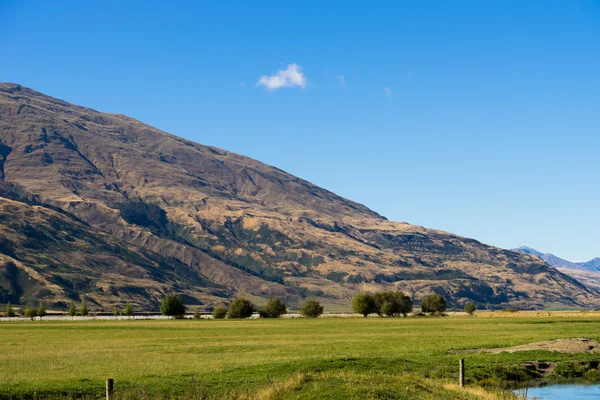 Alpes et prairies néo-zélandaises — Photo