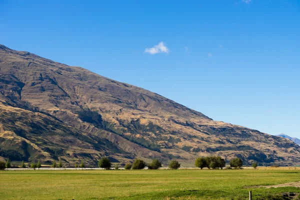 New Zealand alps and meadows — Stock Photo, Image